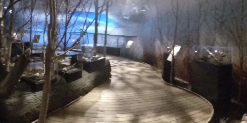 Stiftsmuseet i Maribo