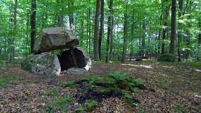 Melved Skov Langdysse 2