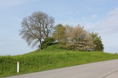 Store Munkegård Rundhøj