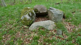 Sjellerup Skov Runddysse 2
