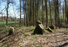 Horserød Hegn Langdysse 5