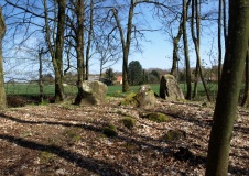 Horserød Hegn Langdysse 5