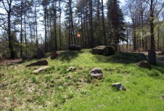Horserød Hegn Langdysse 2