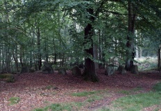 Slettedalsagre Langdysse