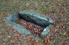 Tokkekøb Hegn Langdysse 1