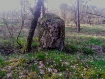 Roels Dal Bautasten