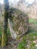 Roels Dal Bautasten