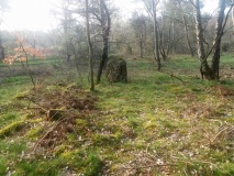 Roels Dal Bautasten
