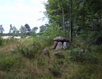 Grevinge Skov Runddysse 1