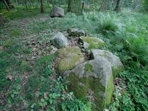 Skelde Kobbelskov Langdysse 2