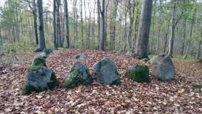 Skelde Kobbelskov Langdysse 1