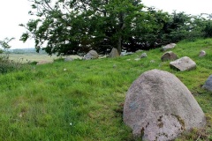 Tårnborg Gods Langdysse 2