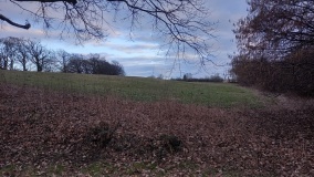 Trygge Slot