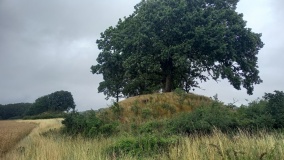 Gravhøje Valdbygaard