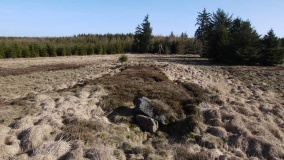 Vorbasse Nørresøgård Langdysse