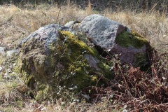Storskov Runddysse 1