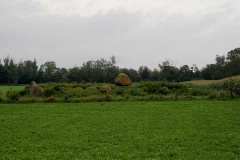 Flintinge Langdysse 2
