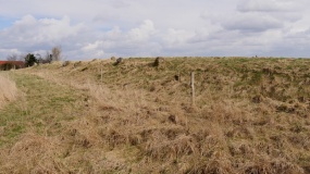 Hove Langdysse