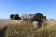 Magleskov Huse Jættestue