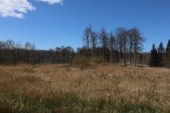 Marienborg Nylukke Skov Langdysse 2