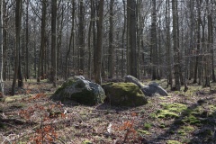 Storskov Runddysse 3
