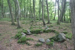 Burial Place at Bøgebjerg