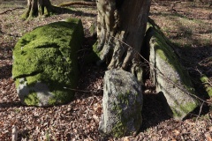 Storskov Runddysse 2