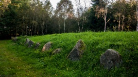 Lindet Skov Langdysse 2 - PID:112814