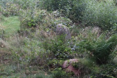 Ravnsholt Langdysse
