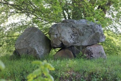 Nøbbet Vesterskov Runddysse