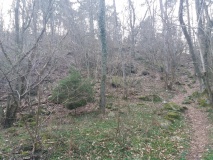 Gamleborg i Paradisbakkerne