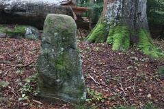 Slettedalsagre Langdysse