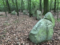Tornved Skov Langdysse