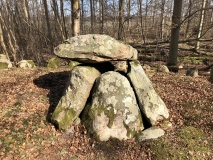 Grevinge Skov Runddysse 1