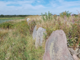 Ny Søby Langdysse - PID:276823
