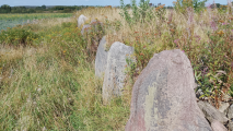 Ny Søby Langdysse - PID:276825