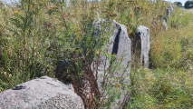 Ny Søby Langdysse - PID:276826