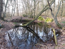 Gamleborg i Paradisbakkerne