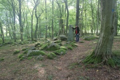 Burial Place at Bøgebjerg