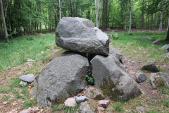 Ringelmose Skov Langdysse 2