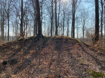 Trørød Skov Rundhøje