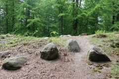 Ringelmose Skov Langdysse 3