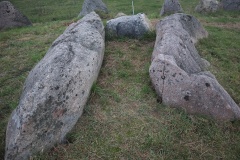 Hesselbjerg Langdysse