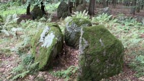 Broby Vesterskov Langdysse 2 - PID:312352 Broby Vesterskov Langdysse 2 - PID:312352