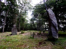 Gråmyr Bautasten - PID:157401 Gråmyr Bautasten - PID:157401