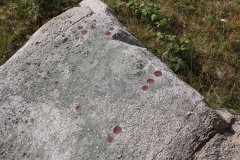 Helleristninger Allinge-Sandvig