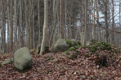 Stensby Skov Afd.36 Runddysse