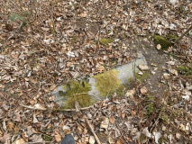 Geel Skov Skåltegn 9