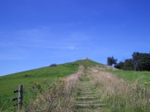Esterhøj