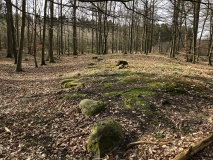 Tokkekøb Hegn Langdysse 5